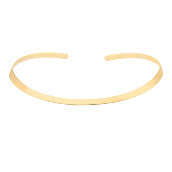 COLAR (CHOKER) RINCAWESKY PITANGA CHAPA LISA