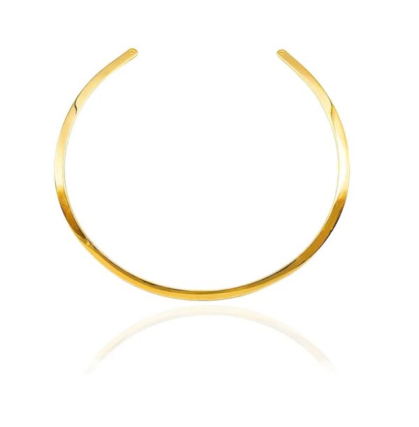 COLAR (CHOCKER) RINCAWESKY ALDEBARAN ARO LISO 5 MM.